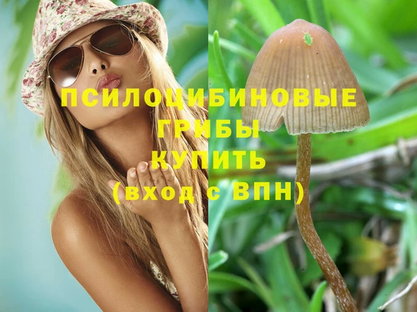 дурь Абаза