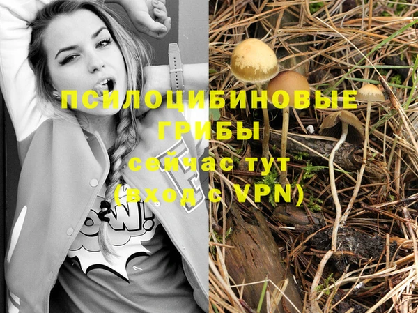 амф Алексеевка