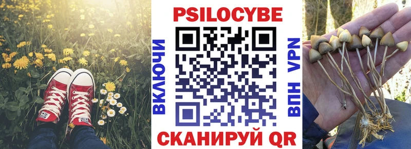 хочу Верхоянск Псилоцибиновые грибы мухоморы